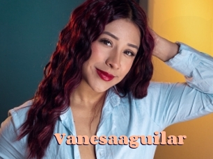 Vanesaaguilar