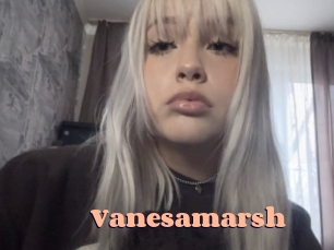 Vanesamarsh