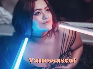 vanessascot Chatte Rasée