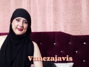 Vanezajavis