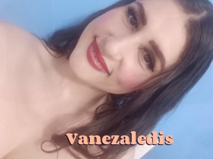 vanezaledis Chatte Rasée