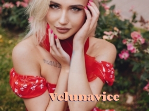 Velunavice