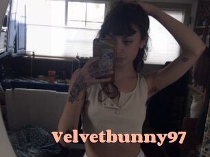 Velvetbunny97