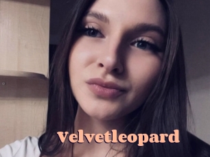Velvetleopard