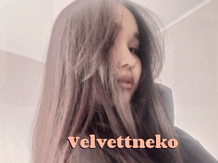 Velvettneko
