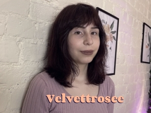 Velvettrosee