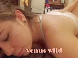 Venus_wild