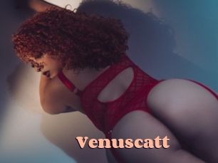 Venuscatt