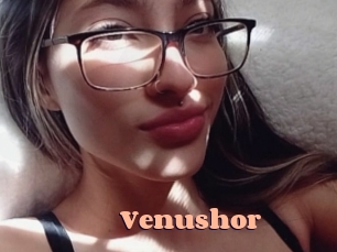 venushor Chatte Rasée