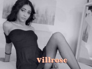 Villrose