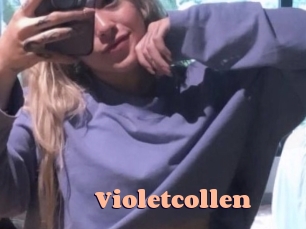 Violetcollen