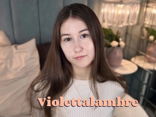 Violettalambre