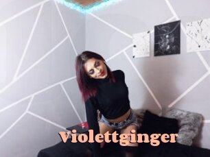 violettginger Chatte Rasée