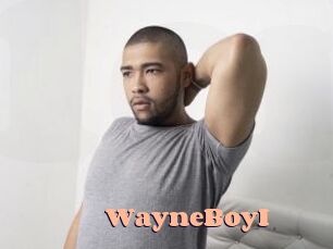 WayneBoyI