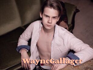 WayneGallager