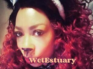 WetEstuary