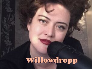 Willowdropp