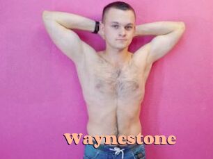 waynestone Chatte Rasée