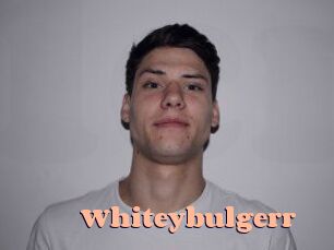 Whitey_bulgerr