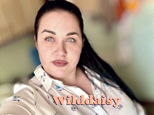 Wilddaisy