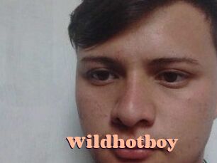 Wild_hotboy