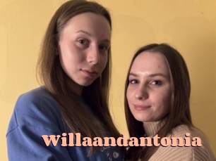 Willaandantonia