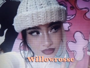 willowrosse Chatte Rasée