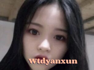 Wtdyanxun