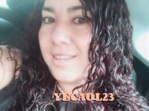 YECAOL23