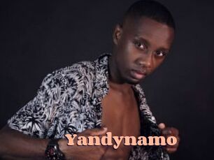Yandynamo