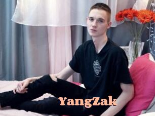 YangZak