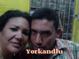 Yorkandlu Chatte Rasée