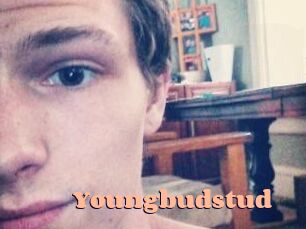 Youngbudstud
