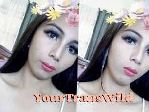YourTransWild