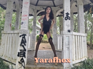 yarafhox Chatte Rasée