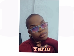 yario Chatte Rasée