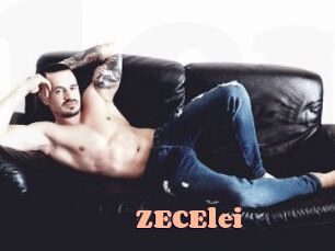 ZECElei