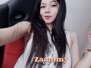 Zaammy Chatte Rasée