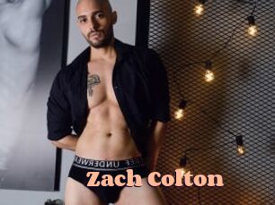 Zach_Colton Chatte Rasée