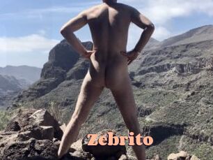 Zebrito