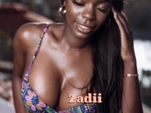 zadii Chatte Rasée
