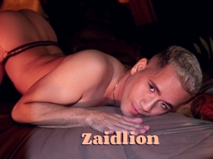 zaidlion Chatte Rasée