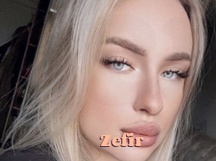 zefir Chatte Rasée