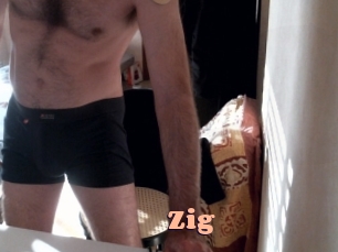 zig Chatte Rasée