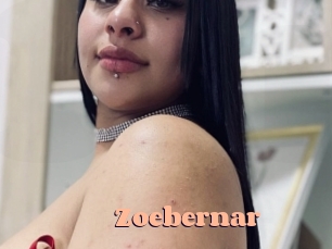 zoebernar Chatte Rasée